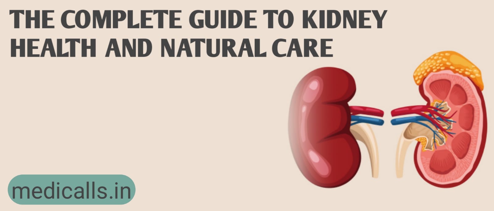 The Complete Guide to Kidney Health and Natural Care