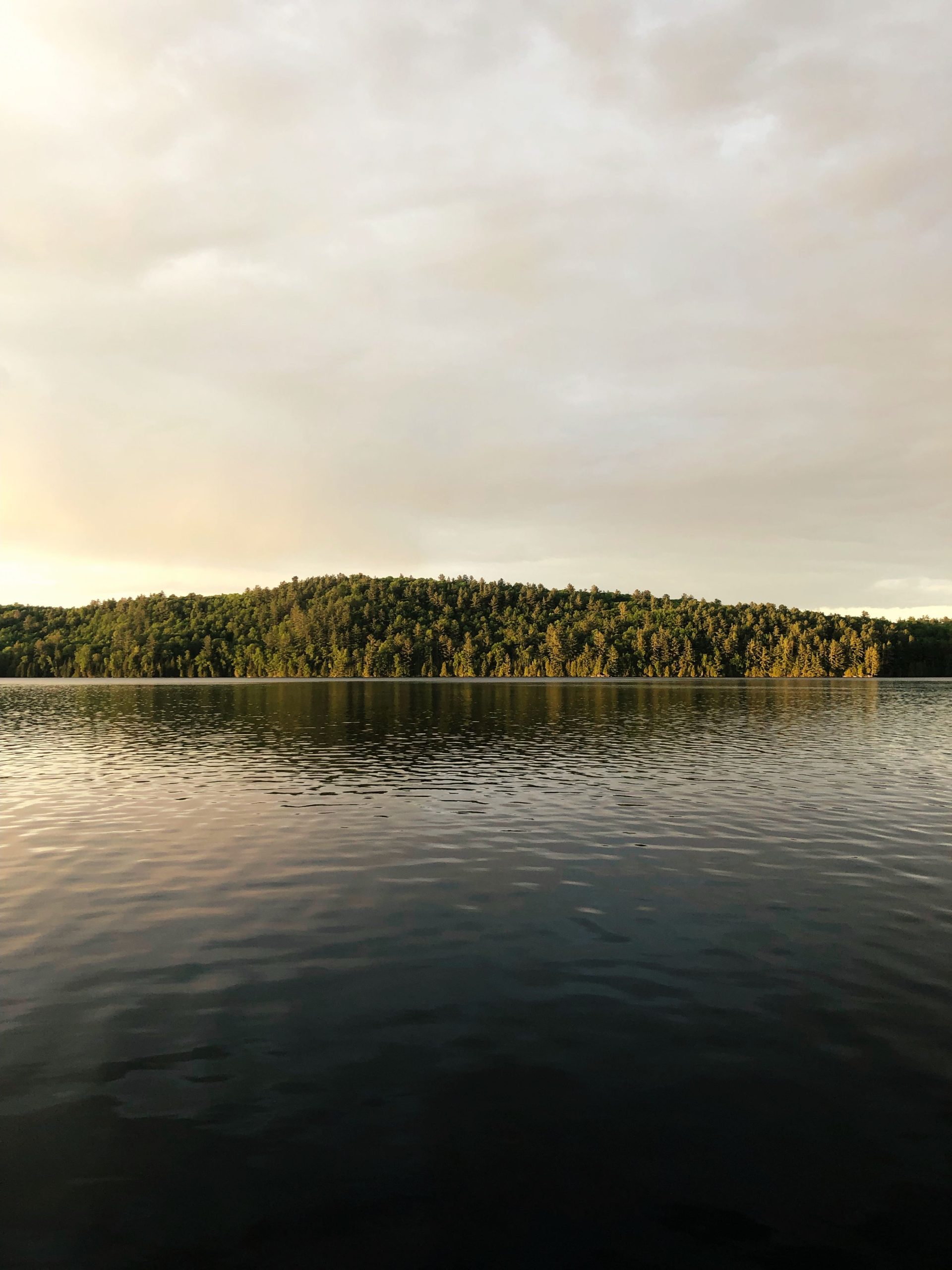 A serene lakeside scene with forest reflection — name five things you can see