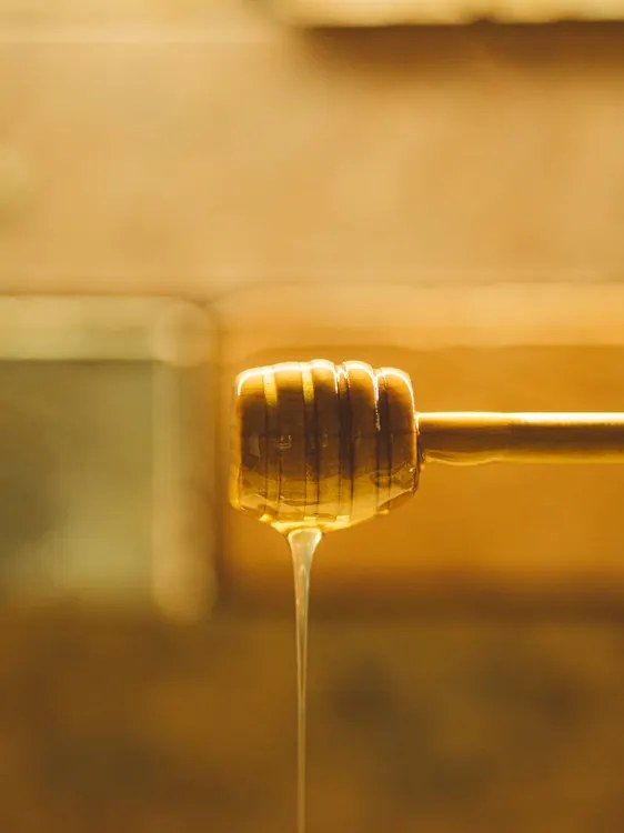 Spoon of honey — soothing for a burned tongue
