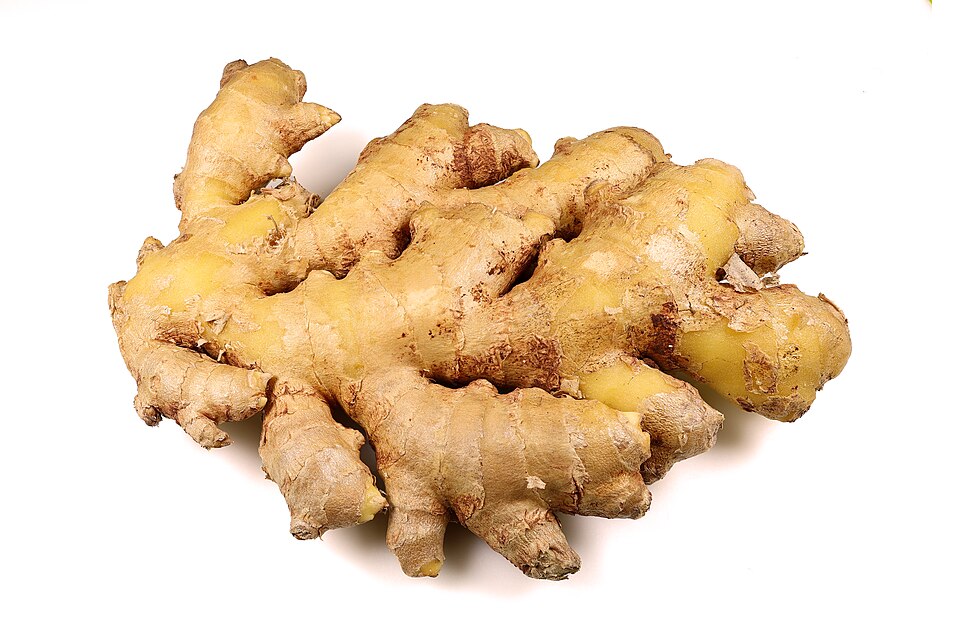 Fresh ginger root on a white background